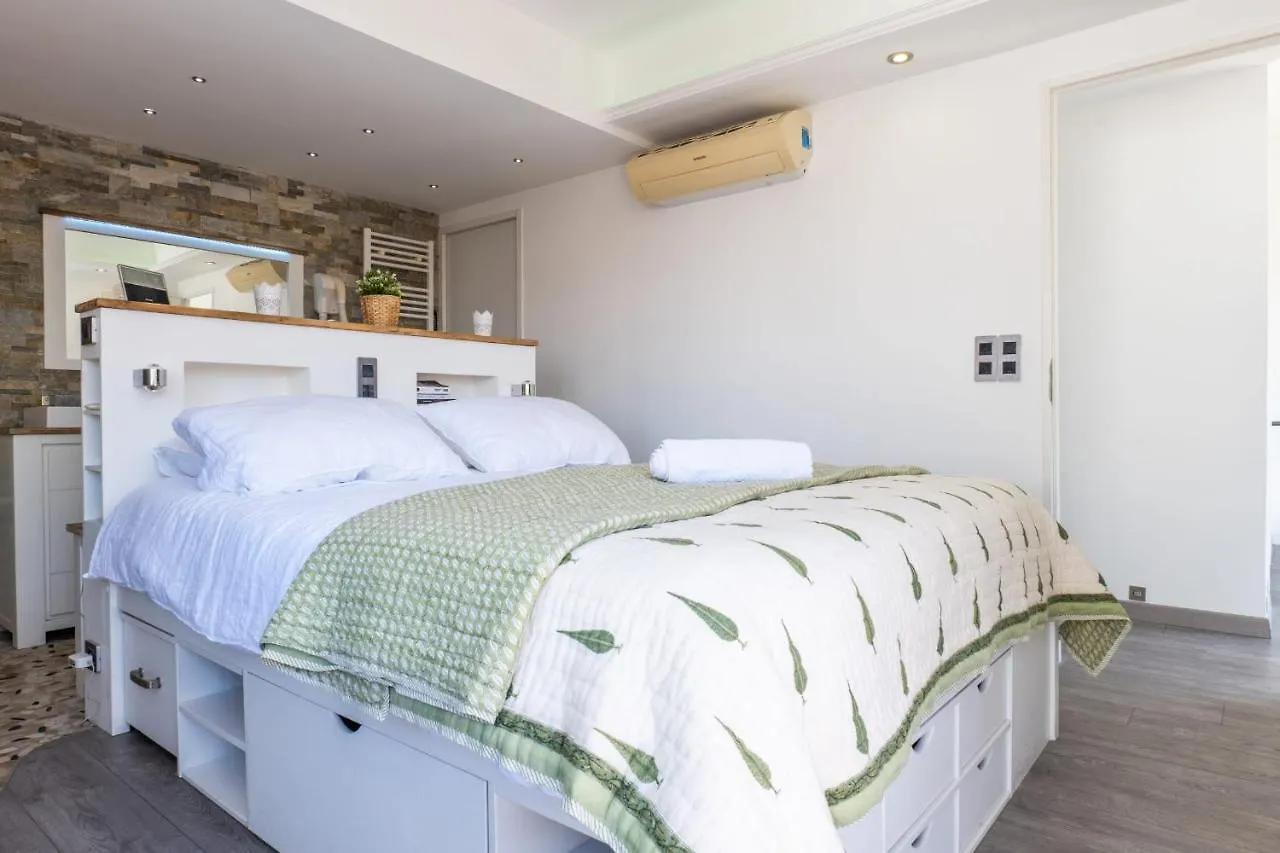 Apartment Penthouse Duplex With Rooftop Terrace Cannes